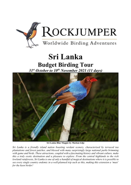 Sri Lanka Budget Birding Tour 31St October to 10Th November 2021 (11 Days)