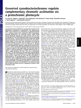 Green/Red Cyanobacteriochromes Regulate Complementary Chromatic Acclimation Via a Protochromic Photocycle