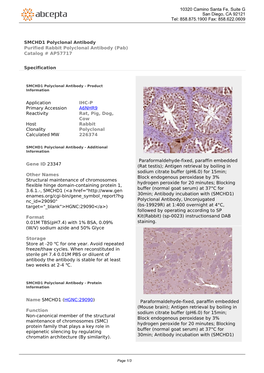 SMCHD1 Polyclonal Antibody Purified Rabbit Polyclonal Antibody (Pab) Catalog # AP57717