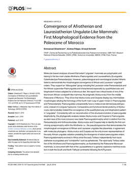 First Morphological Evidence from the Paleocene of Morocco