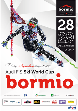 Audi FIS Ski World