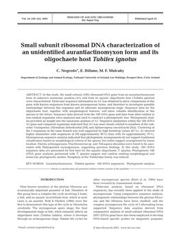 Small Subunit Ribosomal DNA Characterization of an Unidentified Aurantiactinomyxon Form and Its Oligochaete Host Tubifex Ignotus