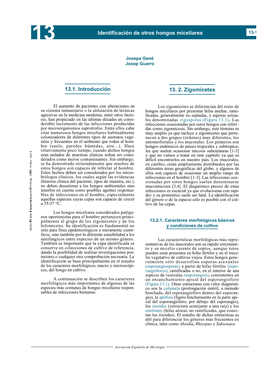 N 13. 2. Zigomicetes Identificaci!N De Otros Hongos Miceliares