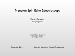 Neutron Spin Echo Spectroscopy