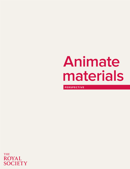 PERSPECTIVE – Animate Materials 3 4 PERSPECTIVE – Animate Materials Contents