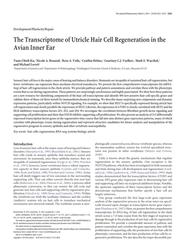 The Transcriptome of Utricle Hair Cell Regeneration in the Avian Inner Ear