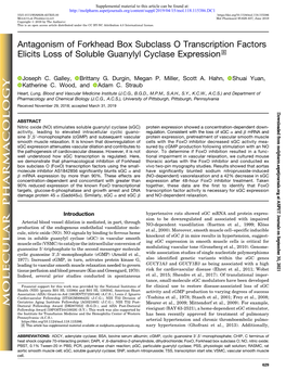 Antagonism of Forkhead Box Subclass O Transcription Factors Elicits Loss of Soluble Guanylyl Cyclase Expression S