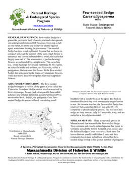 Few-Seeded Sedge & Endangered Species Carex Oligosperma Michx