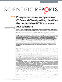 Phosphoproteomic Comparison of Pik3ca and Pten Signalling