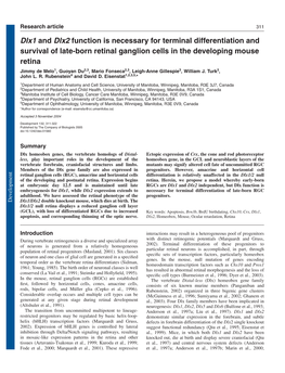 Dlx1 and Dlx2 Function Is Necessary for Terminal Differentiation And