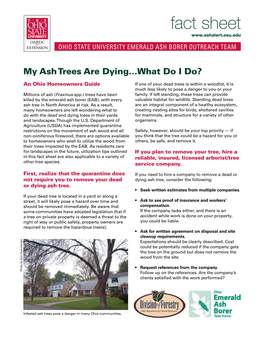 Fact Sheet Ohio State University Emerald Ash Borer OUTREACH Team