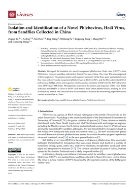 Isolation and Identification of a Novel Phlebovirus, Hedi Virus