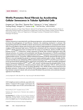 Wnt9a Promotes Renal Fibrosis by Accelerating Cellular Senescence in Tubular Epithelial Cells