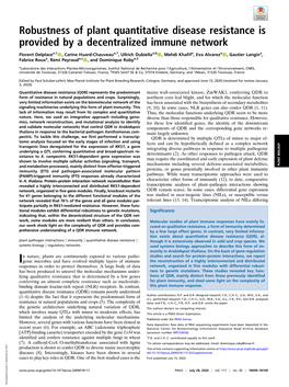 Robustness of Plant Quantitative Disease Resistance Is Provided by a Decentralized Immune Network