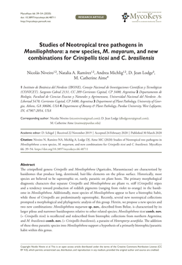 Studies of Neotropical Tree Pathogens in Moniliophthora: a New Species, M. Mayarum, and New Combinations for Crinipellis Ticoi and C