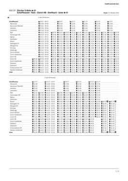 800 S9 Zürcher S-Bahn Schaffhausen - Rafz - Zürich HB - Stettbach - Uster Stand: 23