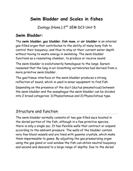 Swim Bladder and Scales in Fishes