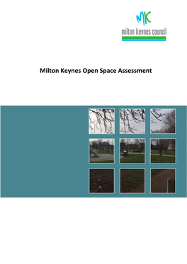 MK Open Space Assessment