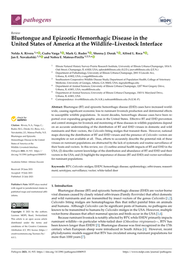 Bluetongue and Epizootic Hemorrhagic Disease in the United States of America at the Wildlife–Livestock Interface