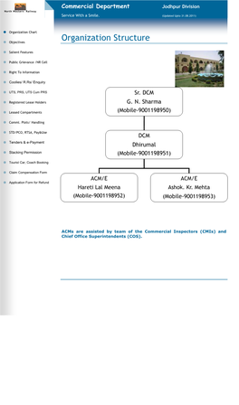 Organization Structure