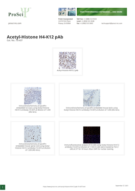 Acetyl-Histone H4-K12 Pab Cat