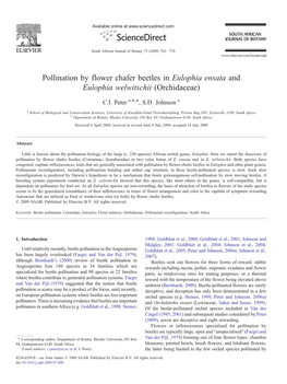 Pollination by Flower Chafer Beetles in Eulophia Ensata and Eulophia Welwitschii (Orchidaceae) ⁎ C.I