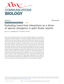 Evaluating Insect-Host Interactions As a Driver of Species Divergence in Palm Flower Weevils