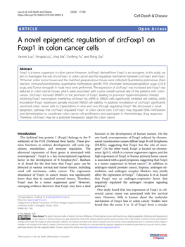 A Novel Epigenetic Regulation of Circfoxp1 on Foxp1 in Colon Cancer Cells Yanwei Luo1, Fengxia Liu1,Jinqima1,Yunfengfu1 and Rong Gui1