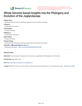 Whole Genome Based Insights Into the Phylogeny and Evolution of the Juglandaceae