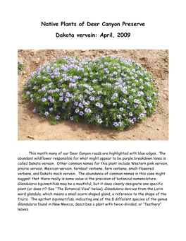 Native Plants of Deer Canyon Preserve