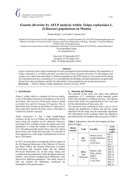 Genetic Diversity by AFLP Analysis Within Tulipa Orphanidea L