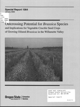 Brassica Species and Implications for Vegetable Crucifer Seed Crops of Growing Oilseed Brassicas in the Willamette Valley