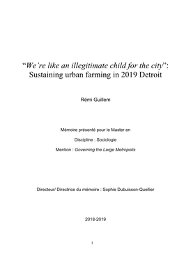 Sustaining Urban Farming in 2019 Detroit