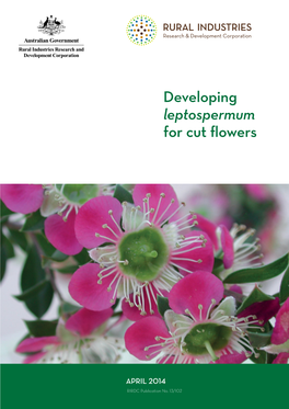 Developing Leptospermum for Cut Flowers
