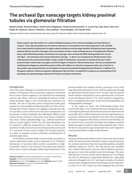 The Archaeal Dps Nanocage Targets Kidney Proximal Tubules Via Glomerular Filtration