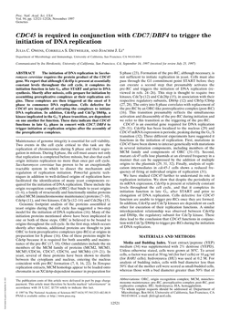 CDC45 Is Required in Conjunction with CDC7/DBF4 to Trigger the Initiation