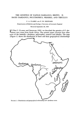 The Genetics of Papilio Dardanus, Brown. 11. Races Dardanus, Polytrophus, Meseres, and Tibullus