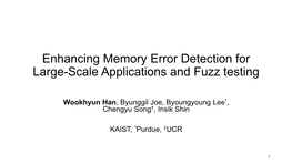 Memory Error Detection for Large-Scale Applications and Fuzz Testing