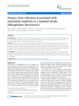 Herpes Virus Infection Associated with Interstitial Nephritis in a Beaked