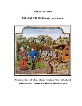 O JULGADO DE BOURO: a Terra E Os Homens Dissertação De Mestrado