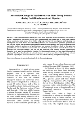 Anatomical Changes in Peel Structure of 'Hom Thong' Banana During Fruit