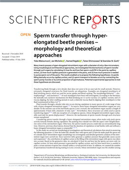 Sperm Transfer Through Hyper-Elongated Beetle