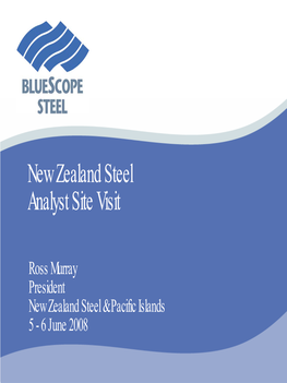 New Zealand Steel Analyst Site Visit