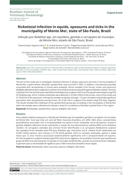 Rickettsial Infection in Equids, Opossums and Ticks in the Municipality of Monte Mor, State of São Paulo, Brazil