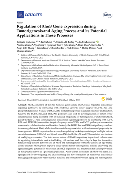 Regulation of Rhob Gene Expression During Tumorigenesis and Aging Process and Its Potential Applications in These Processes