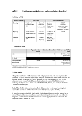 A6.81 Mediterranean Gull Larus Melanocephalus (Breeding)