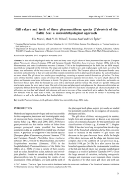 Gill Rakers and Teeth of Three Pleuronectiform Species (Teleostei) of the Baltic Sea: a Microichthyological Approach