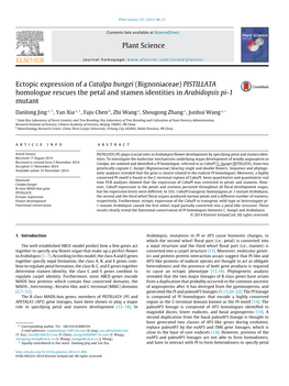 Ectopic Expression of a Catalpa Bungei (Bignoniaceae) PISTILLATA