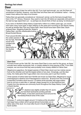 Fossil Deer Fact Sheet