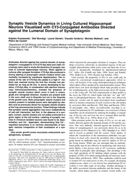 Synaptic Vesicle Dynamics in Living Cultured Hippocampal Neurons Visualized with CY3-Conjugated Antibodies Directed Against the Lumenal Domain of Synaptotagmin